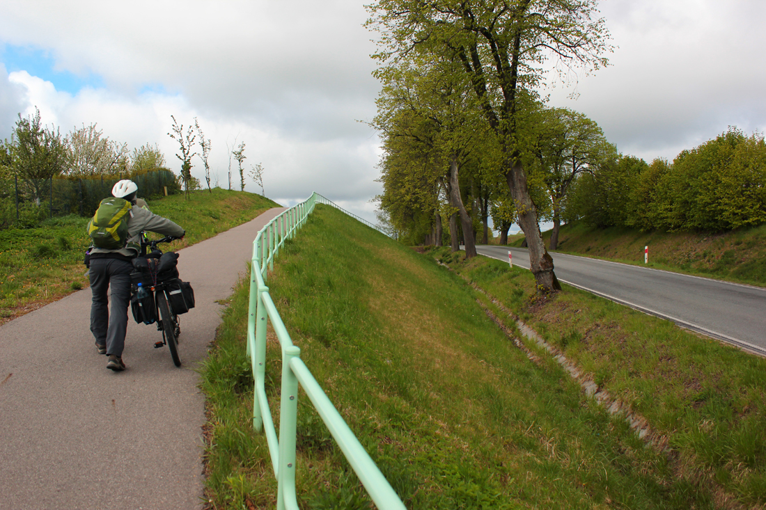 500 км велоприключений или Как мы по GreenVelo катались-2